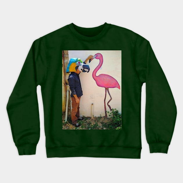 Birds Crewneck Sweatshirt by Majenye